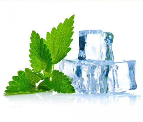 프로 공급 높은 집중된 박하 & 멘톨은 주스 맛을 낸 Ｅ 주스 수연통 혼합을 기화시킵니다