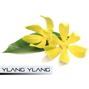 Berry.Wonder Worm.Big 위 Jelly.Head 방인 부기를 닫으세요. e-액체 Ｅ 주스 향 정광 맛을 내는 맛을 기화시키세요