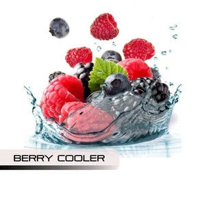 민트 잎, 감로멜론 베리 키위, 잼 Rock.Dream Cream.CCD3.콧수염 우유. E-리퀴드스는 주스 맛을 기화시키고 Ｅ 주스 포드를 기화시킵니다