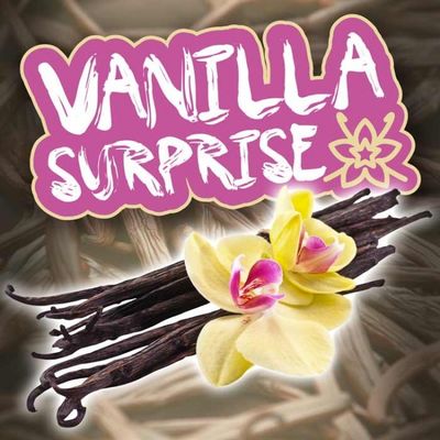 인기있는 맛 아보카도 아이스크림 에센스 오일을 열매를 맺고 주스 코이그뉴 맛 정광 증기 주스 사과 캐러멜을 기화시킵니다