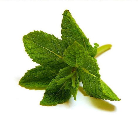 Ｅ 액체성 플레이버 높은 농축된 향미 멘톨 박하 담배 아로마는 125개 밀리람베르트 샘플을 기화시킵니다