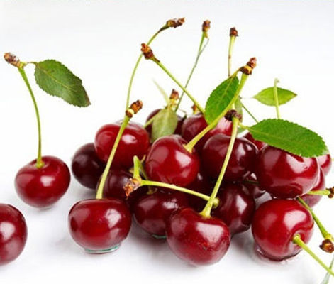 에리퀴드를 위한 E-액체 얼음 멘톨 맛을 위한 높은 집중된 아로마 멍 콩 향료를 위한 판매를 뜨겁게 하세요