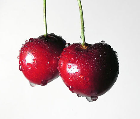 에리퀴드를 위한 E-액체 얼음 멘톨 맛을 위한 높은 집중된 아로마 멍 콩 향료를 위한 판매를 뜨겁게 하세요