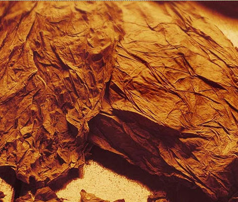 뜨겁게 집중된 과일 맛 Ｅ 정광 빨간 콩 얼음 맛 액체를 판매하는 오스트레일리아를 위해 쥬스우스피 등급 Concen을 기화시킵니다