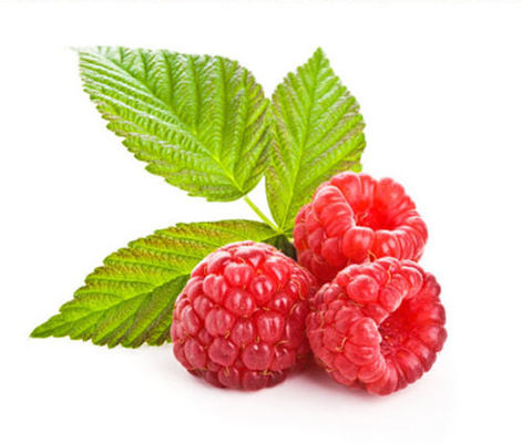 담배 정광 플라보르하이 집중된 쿨미스트 멘톨 Ｅ 액체 / E-코이그 /는 잇팩토리 공급 스에서 피그 / 브그로 기화합니다