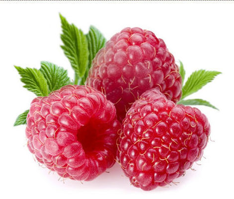 담배 정광 플라보르하이 집중된 쿨미스트 멘톨 Ｅ 액체 / E-코이그 /는 잇팩토리 공급 스에서 피그 / 브그로 기화합니다