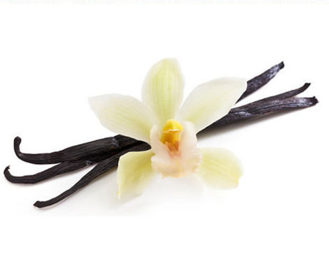 높은 정광 과일 담배 민트 맛 감열소염제를 위해 E-액체 플라보우르하이 정광 과일 담배 박하 드를 기화시킵니다