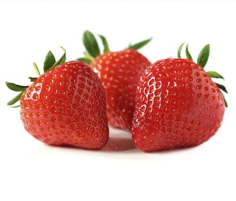 높은 정광 과일 담배 민트 맛 감열소염제를 위해 E-액체 플라보우르하이 정광 과일 담배 박하 드를 기화시킵니다