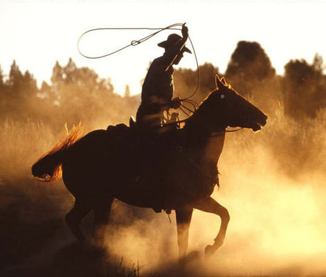 과일 박하 맛 농후액 증기 아로마 본질 고급 품질 피그 / 브그 기반을 둔 풍미 / 맛은 전체를 위해 집중합니다