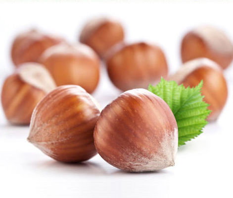 과일 박하 맛 농후액 증기 아로마 본질 고급 품질 피그 / 브그 기반을 둔 풍미 / 맛은 전체를 위해 집중합니다