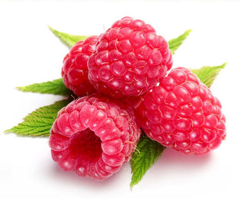 집중된 맛은 주스 주 맛 OEM / ODM E-담배, 최고 품질 정광 맛 오스트레일리아 사람 망고 플라보를 기화시킵니다