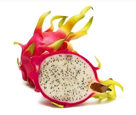 시사 수연통 풍미 담배 맛을 위한 집중 알파흐커 애플 맛 : 화려한 과일 맛 : 신선한 혼합된 프루이