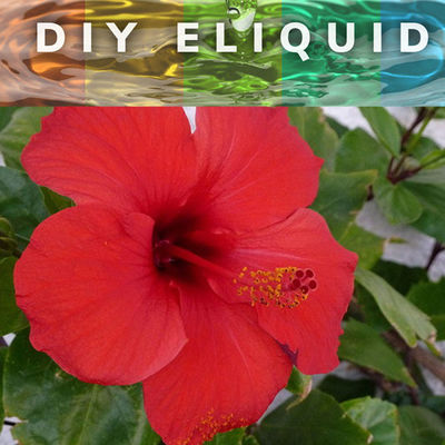 대단히 집중된 에주스 맛 얼음 사과 맛을 위해 대단히 집중된 E-액체 맛 얼음 포도 맛을 기화시킵니다