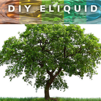 피그 브그 베세드 집중된 수박 과일 본질 풍미와 바핑 에주스를 위한 맛과 에리퀴드