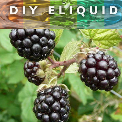 얼음 멘톨 맛 액상 농축물 본질은 주스 피그 브그 기반을 두 쿨미스트 집중된 원샷 맛 딸기 A를 기화시킵니다